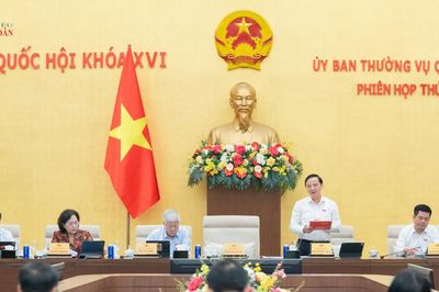 Dự án Bộ luật Hàng hải và Đường thủy Việt Nam (sửa đổi) Hợp nhất để tạo khuôn khổ pháp lý mới, đồng bộ