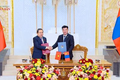 Thúc đẩy quan hệ Đối tác toàn diện Việt Nam - Mông Cổ phát triển thực chất