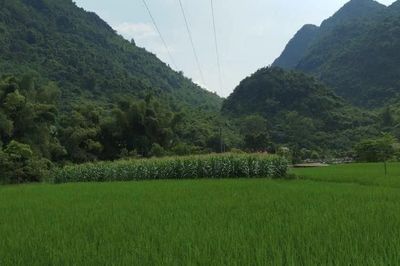 Ngày 11/9, thời tiết trong tỉnh có mưa, mưa rào, có nơi có dông