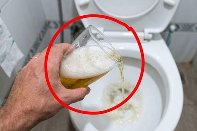 Đổ bia thừa vào nhà vệ sinh: Công dụng tuyệt vời ai biết cũng muốn làm theo