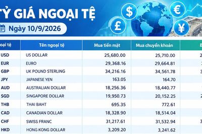 Tỷ giá ngoại tệ ngày 10/9: USD vượt 26.000 đồng, GBP và EUR duy trì mặt bằng cao