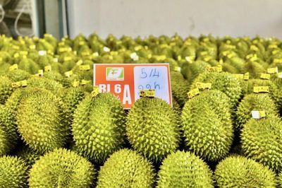 Lâm Đồng đẩy mạnh quản lý mã số vùng trồng phục vụ xuất khẩu