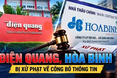 Điện Quang, Xây dựng Hòa Bình bị xử phạt về công bố thông tin