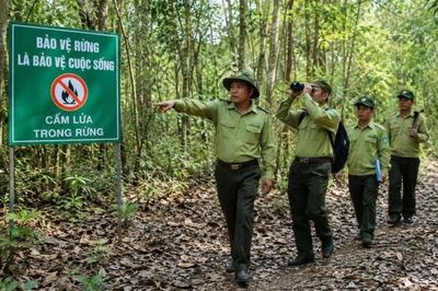 Xử lý những khó khăn, vướng mắc trong quá trình thực hiện điều tra, kiểm kê rừng