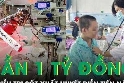 Suýt mất mạng vì sốt xuất huyết, chi phí chữa trị gần 1 tỷ đồng