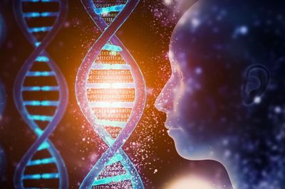 'Gene bất tử': Con người chỉ là phương tiện tạm thời của DNA?