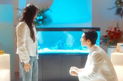 'Đầu xuân tươi sáng' có Tỉnh Bách Nhiên đóng lập kỷ lục, tập cuối 900 triệu lượt xem