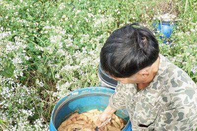 Giảm thuốc hóa học, nâng sức khỏe cây trồng