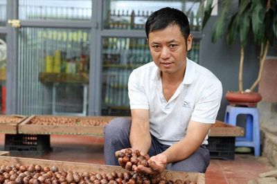 Mắc ca mở hướng vùng xa