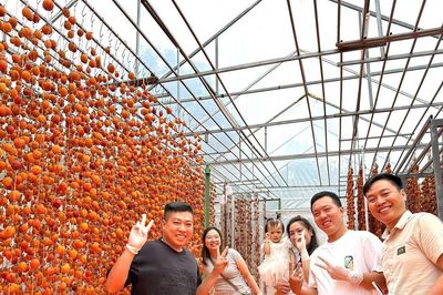 Tạo 'giá trị kép' cho hồng ăn trái