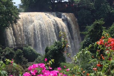 Thác Voi 'ngủ' đến bao giờ?