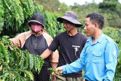 Tiếp vốn, tiếp sức thanh niên Lâm Đồng lập nghiệp