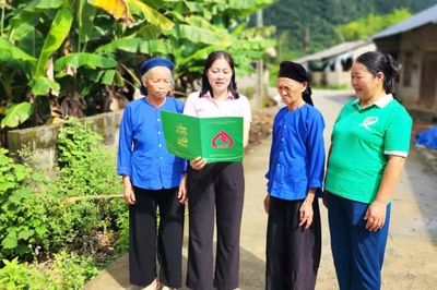 Nguồn vốn chính sách tiếp sức người dân vùng cao vươn lên