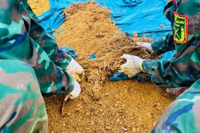 Quảng Ngãi: Phát hiện, quy tập 3 hài cốt liệt sĩ tại xã Đặng Thùy Trâm