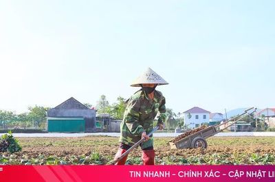 Hà Tĩnh phấn đấu gieo trồng hơn 11.860 ha cây vụ đông