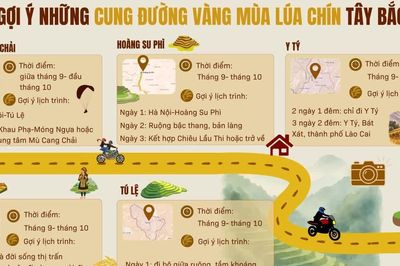 Gợi ý những cung đường vàng mùa lúa chín Tây Bắc
