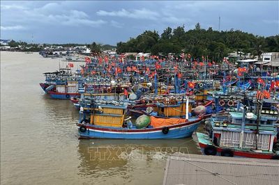 Các địa phương chủ động ứng phó với thiên tai, áp thấp nhiệt đới