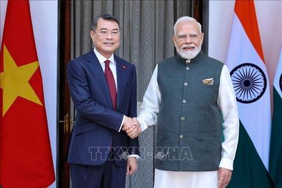 Thủ tướng Lê Minh Hưng hội đàm với Thủ tướng Ấn Độ Narendra Modi