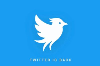 Twitter bất ngờ trở lại, nhưng không thuộc về Elon Musk