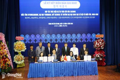 Thúc đẩy hợp tác kinh tế Saemaul và phát triển nông thôn mới