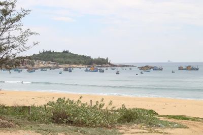 Gia Lai nghiên cứu điện gió tự chủ, bay tầm thấp tại Bến cảng Phù Mỹ