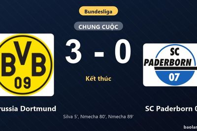 Thống kê trận đấu Borussia Dortmund 3-0 SC Paderborn 07: Borussia Dortmund thắng đậm thuyết phục