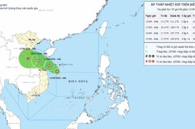 Ninh Bình chủ động ứng phó với áp thấp nhiệt đới trên Biển Đông