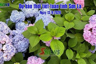Dự báo thời tiết toàn tỉnh Sơn La ngày 13/9/2026