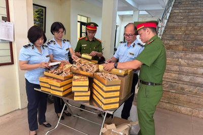 Hà Nội: 200 bánh Trung thu nhập lậu bị phát hiện trước mùa cao điểm