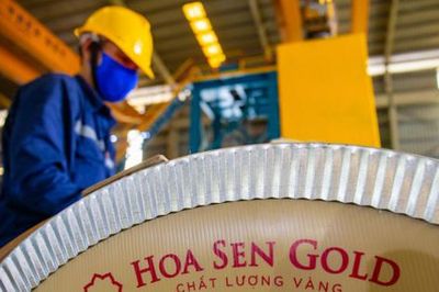 Tập đoàn Hoa Sen (HSG) nộp ngân sách 1.230 tỷ đồng, dồn lực mở rộng chuỗi bán lẻ vật liệu