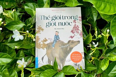 Cuốn sách 'Thế giới trong giọt nước': Nuôi dưỡng khả năng quan sát ở trẻ