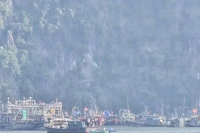 Hơn 53.000 phương tiện được cảnh báo, chủ động tránh áp thấp nhiệt đới