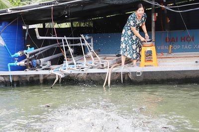 Từ mượn sổ đỏ vay nợ, người phụ nữ miền Tây dựng cơ sở cá thát lát thu 28 tỷ/năm
