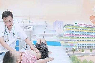 Cứu sống bé trai 8 tuổi sốc phản vệ nguy kịch sau khi bị ong vò vẽ đốt