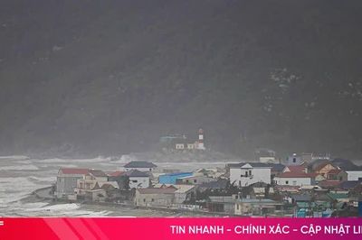 Chủ động bảo vệ các tuyến đê trọng yếu trước sóng to, gió lớn, nước biển dâng
