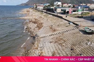 Chủ động bảo vệ các tuyến đê trọng yếu trước sóng to, gió lớn, nước biển dâng