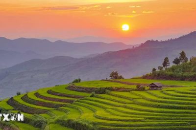 Ruộng bậc thang Pu Nhi - điểm nhấn đặc sắc giữa núi rừng Điện Biên