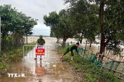 Quảng Trị sơ tán 653 hộ dân để ứng phó mưa lũ