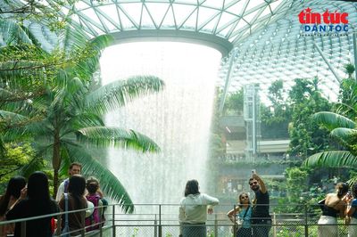 Chiêm ngưỡng thác nước nhân tạo lớn nhất thế giới giữa sân bay Singapore