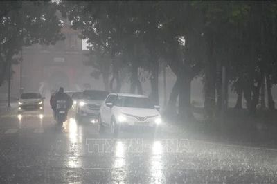 Áp thấp nhiệt đới đổi hướng về Trung Lào, miền Trung mưa rất lớn