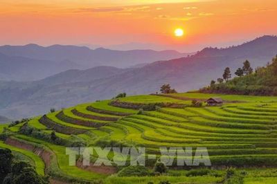 Vẻ đẹp ruộng bậc thang Pu Nhi, Điện Biên