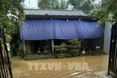 Theo dõi chặt chẽ diễn biến mưa lũ để tập trung ứng phó