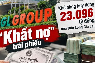 Báo cáo tài chính cho thấy điều gì khi Đức Long Gia Lai tham gia dự án trị giá gần 77.000 tỷ đồng?