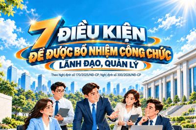 [Infographic] - 7 điều kiện để được bổ nhiệm công chức lãnh đạo, quản lý