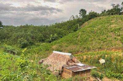 Chòi rẫy, nơi lưu giữ giấc mơ giản dị