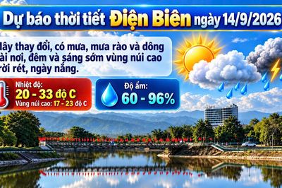 Bản tin Dự báo thời tiết ngày 14/9/2026