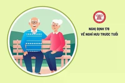 Trường hợp nghỉ hưu trước tuổi nào phải quay lại làm việc?