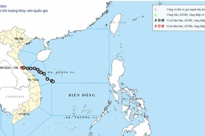 Áp thấp nhiệt đới suy yếu thành vùng áp thấp, Gia Lai có mưa diện rộng
