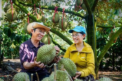 Hành trình nâng giá trị trái sầu riêng Đắk Mil