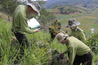Số vụ phá rừng tăng, Lâm Đồng phê bình nhiều chủ rừng